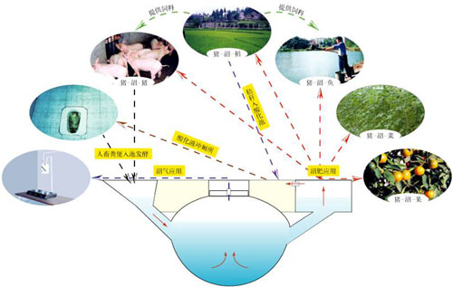 Leyu·乐鱼体育(中国)官方网站农业部环境保护科研监测所推出《地震灾区农业生态(图23)