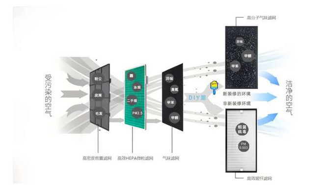 Leyu·乐鱼体育(中国)官方网站空气净化器对解决宠物过敏有用吗？猫毛过敏者的自(图6)